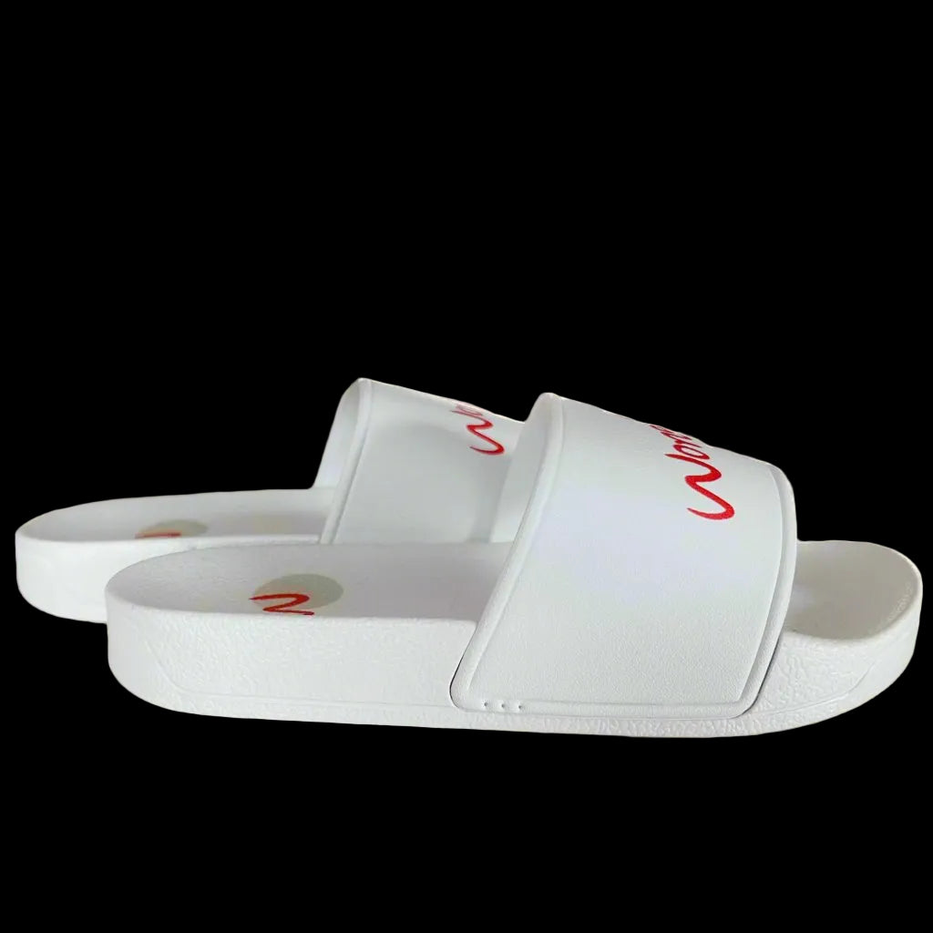 White slides with red text on a black background